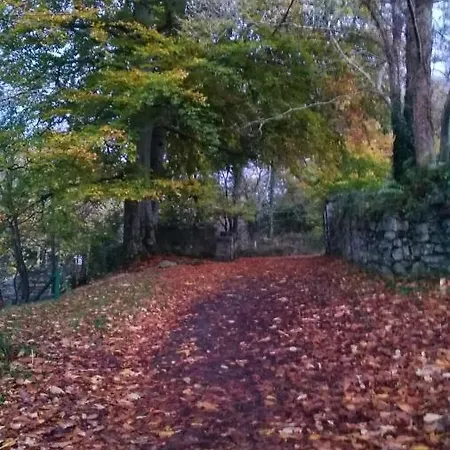 Mill Lane * Buncrana